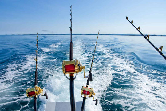 Queenscliff Fishing Charters & Scenic Tours Port Phillip Bay